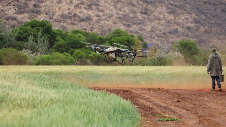 Osoba upravlja dronom na zelenoj poljoprivrednoj površini